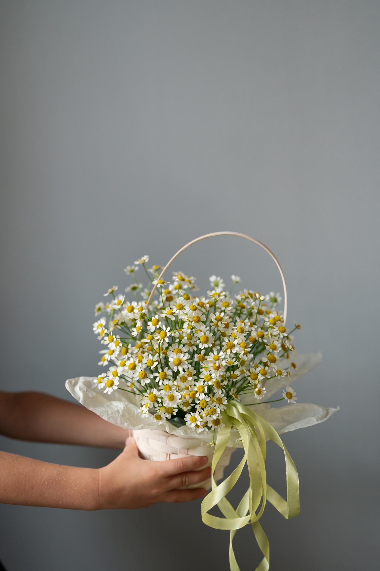 Композиция "Лето в портфеле"