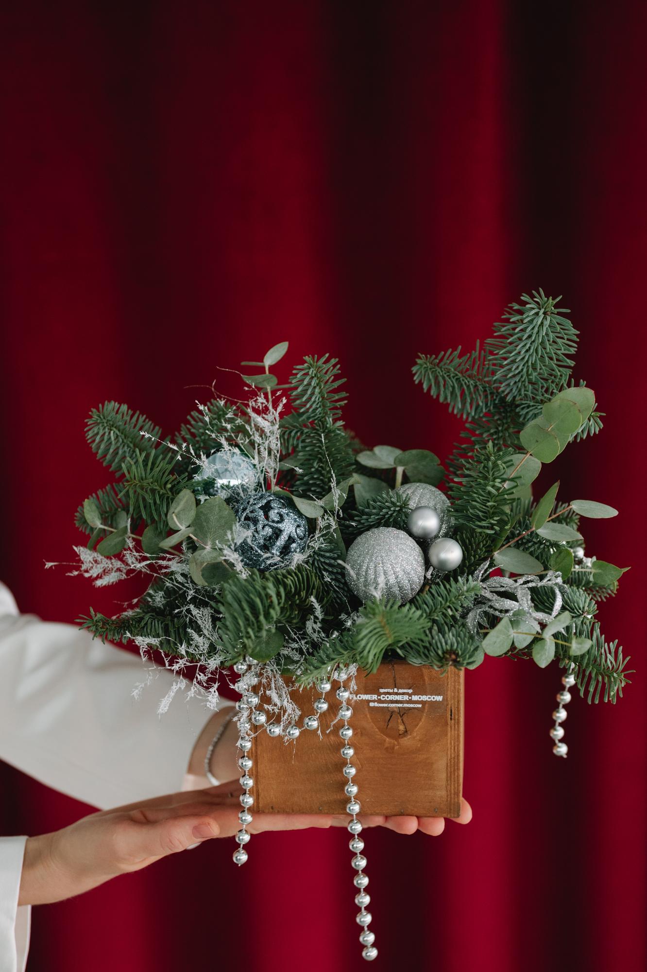 Еловая композиция "Иней"