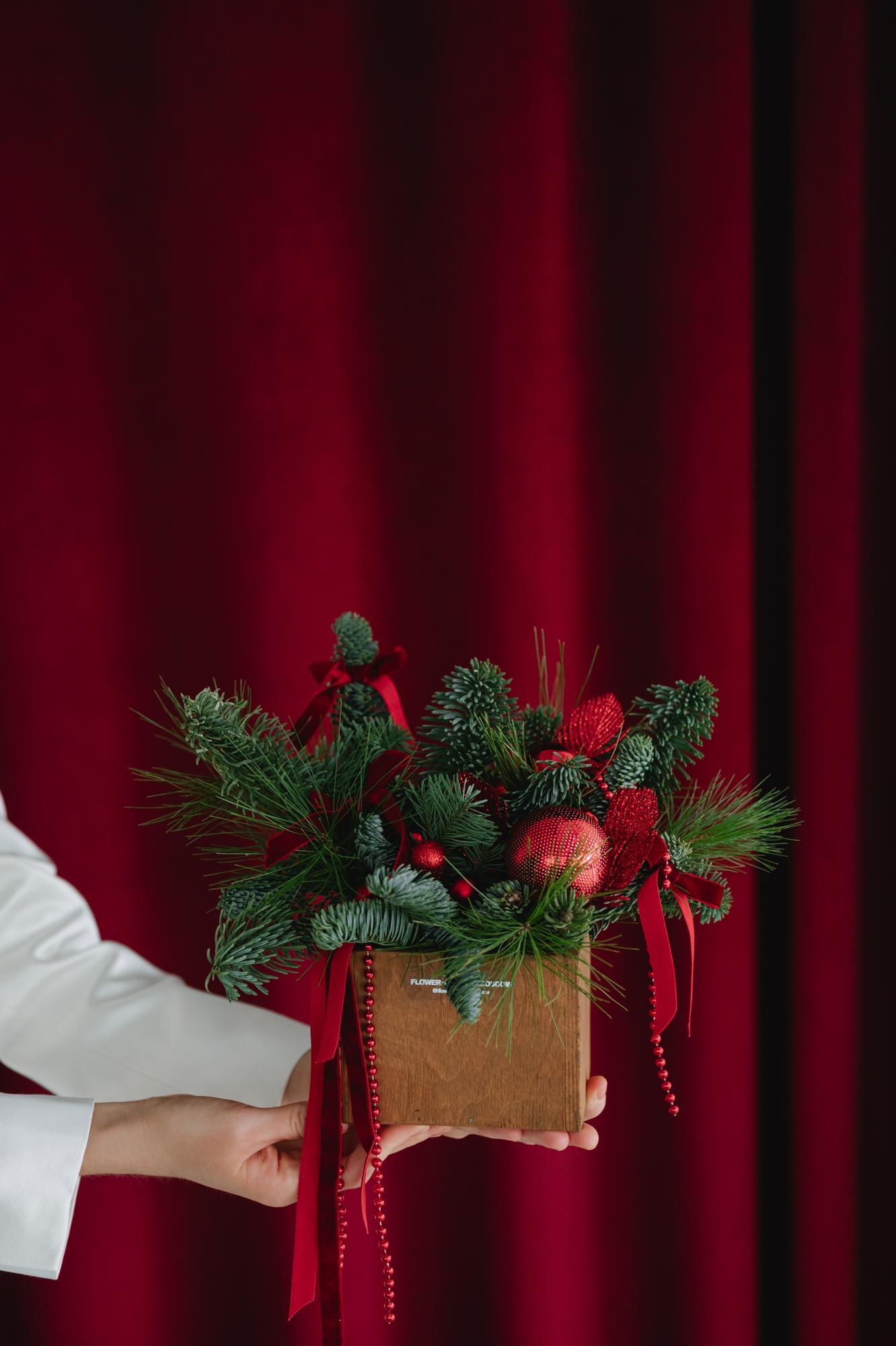 Еловая композиция "Красный бархат"