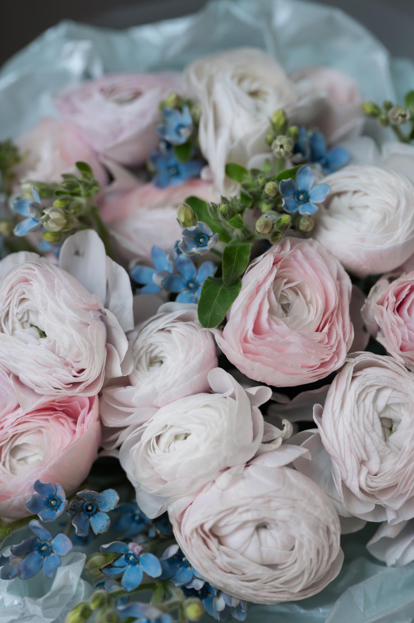 Дуо-букет с ранункулюсами и незабудками