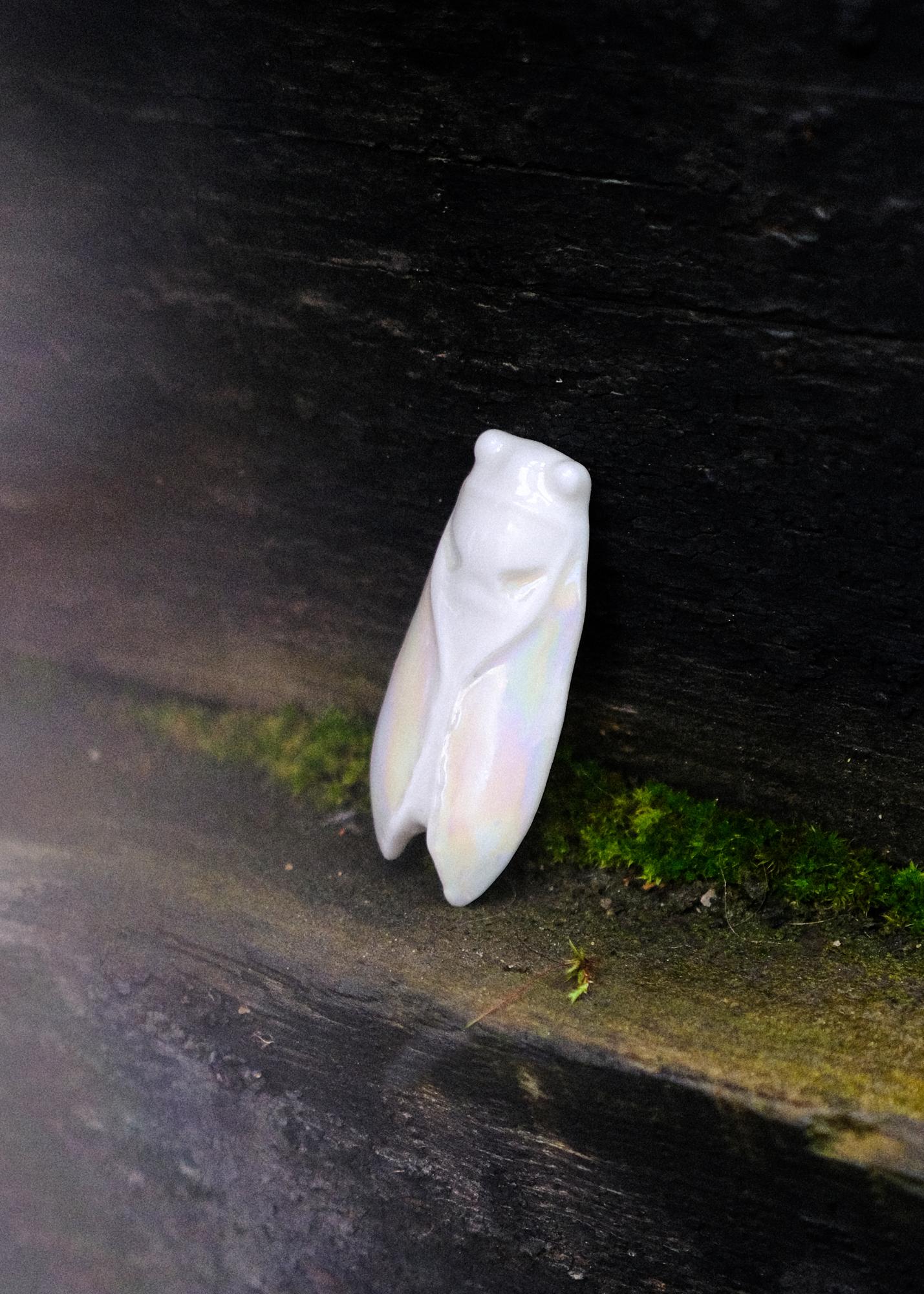 Брошь цикада