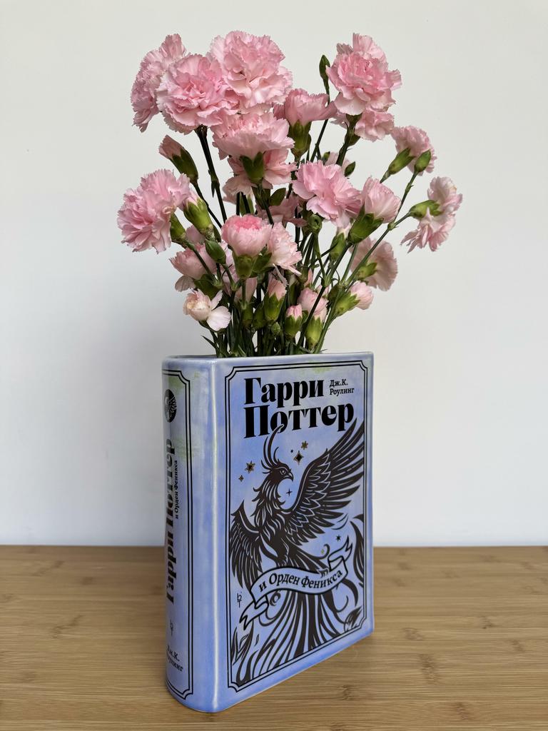 Гарри Поттер и Орден Феникса