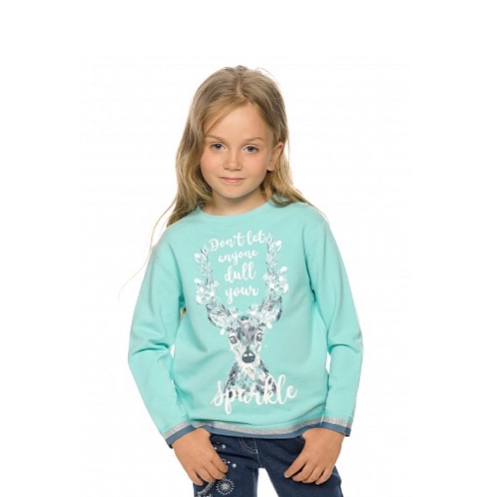 Толстовка Pelican