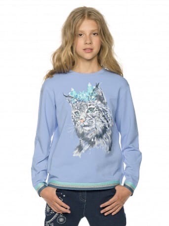 Толстовка Pelican