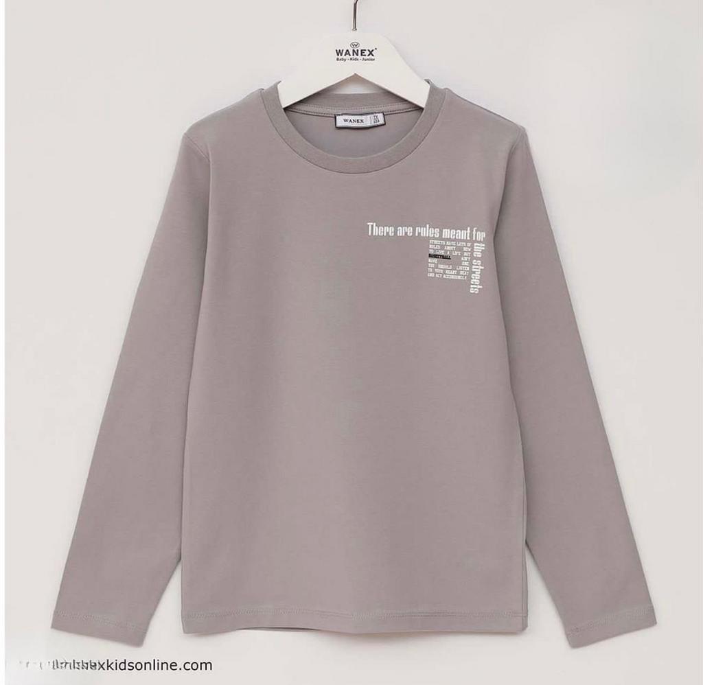 Лонгслив Wanex-серый
