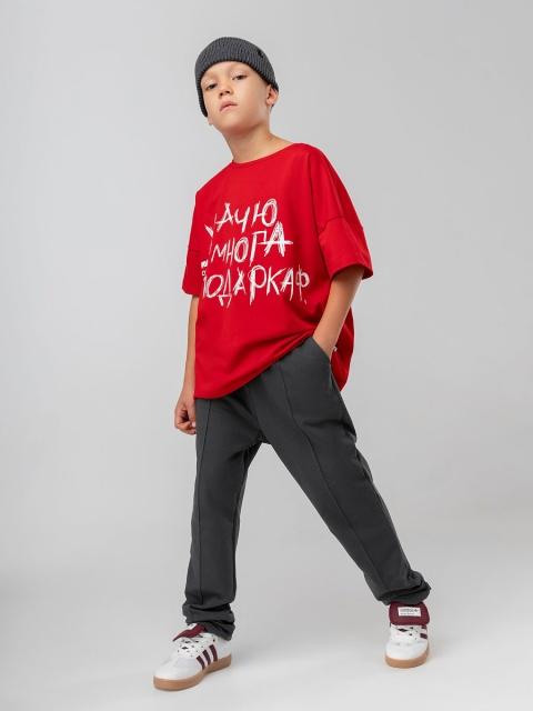 Брюки BODO - серый