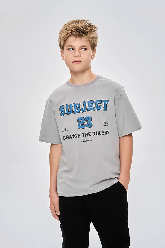 Футболка Miza-серый