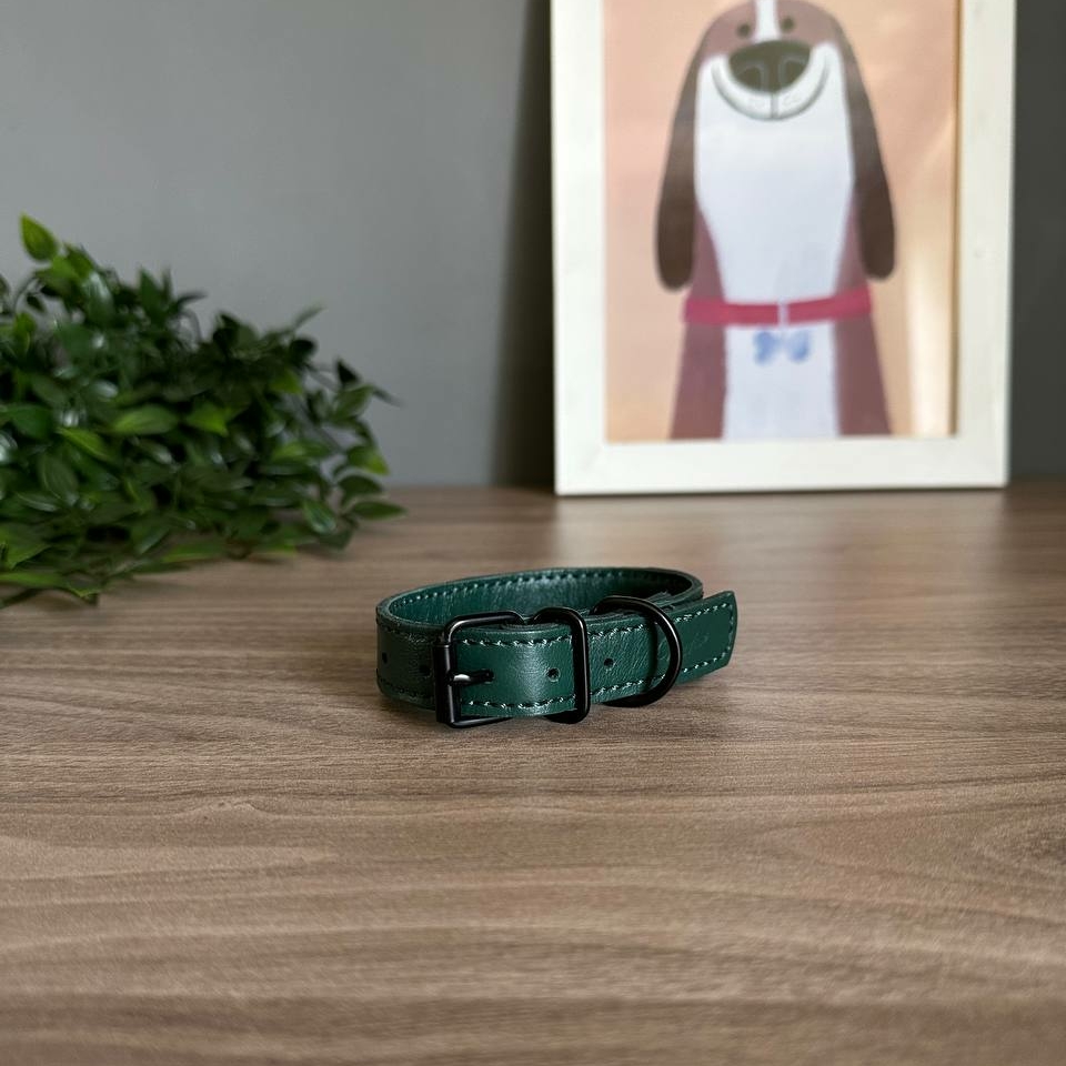 Ошейник Классический Изумрудный 29 -35 см