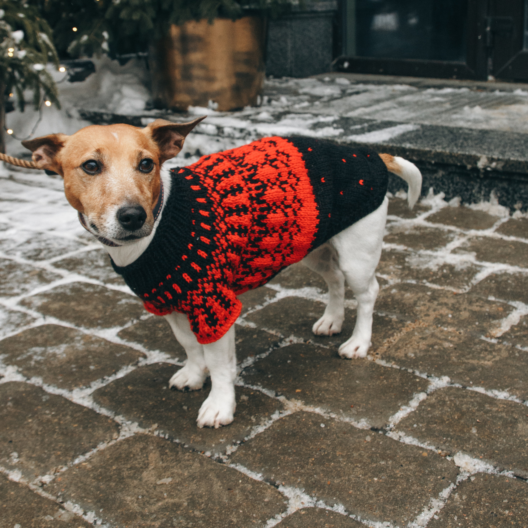 Свитер Forelsket Форельскет