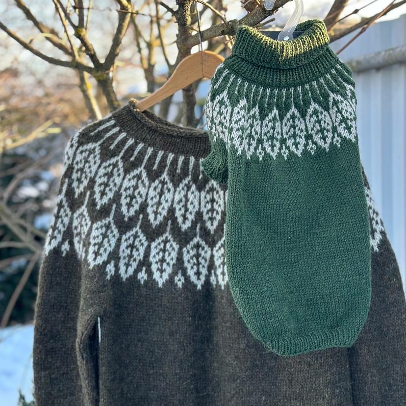 Свитер Листья