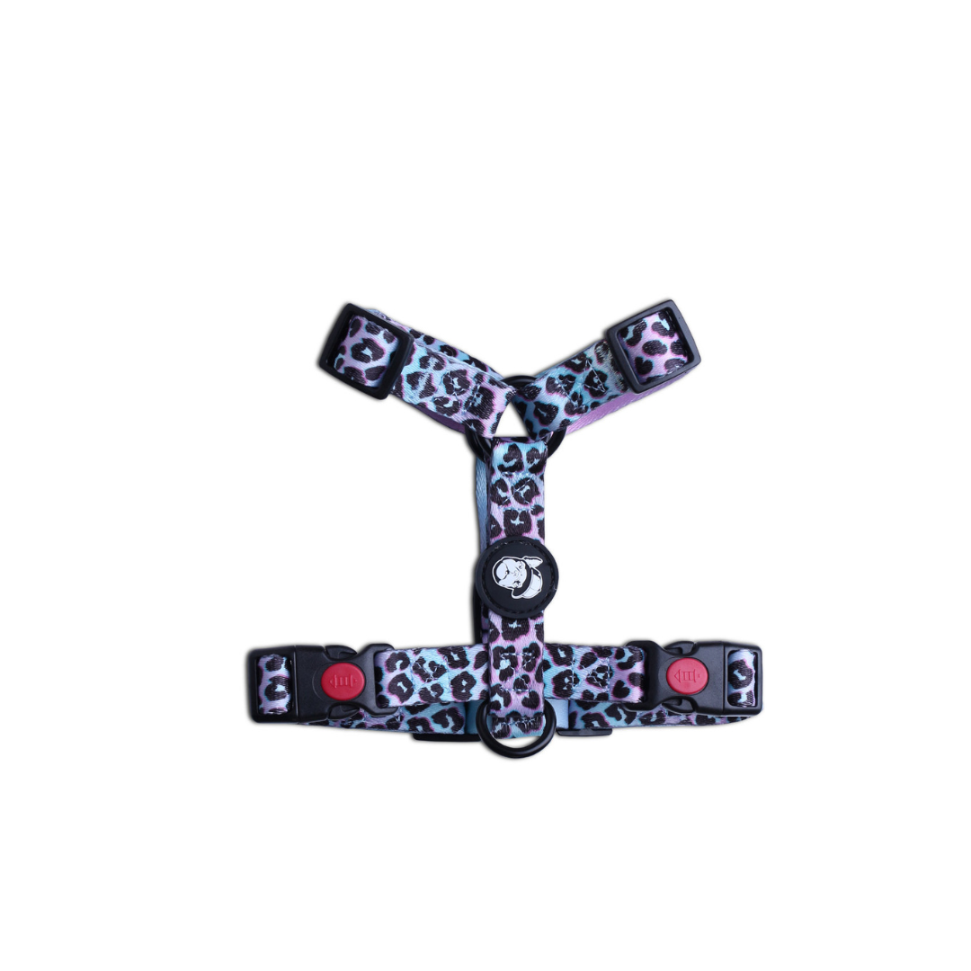 Шлейка LionPets Лео