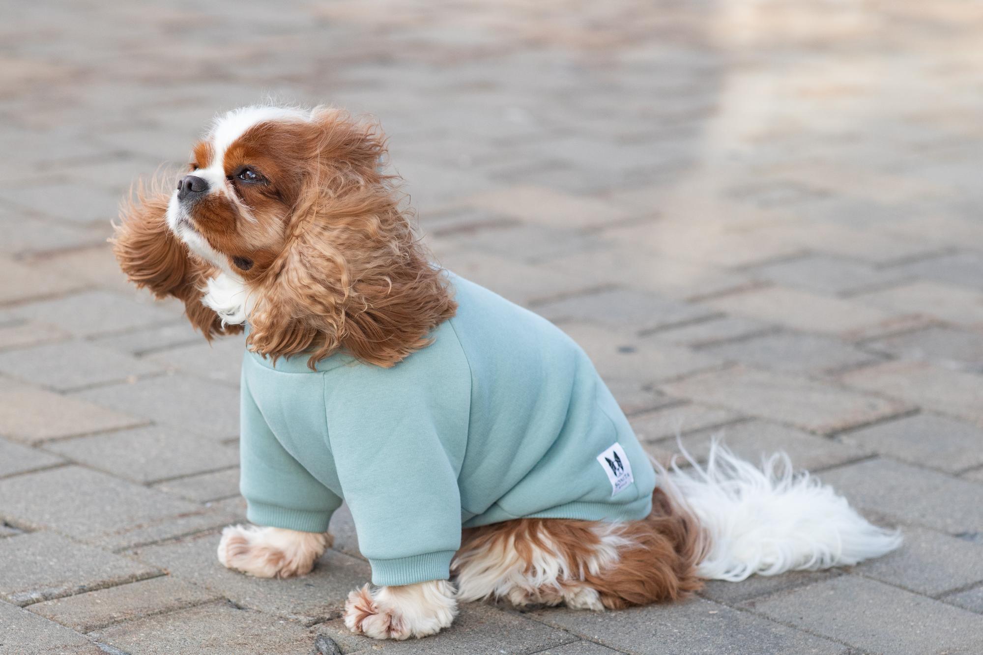 Худи Sonita голубой