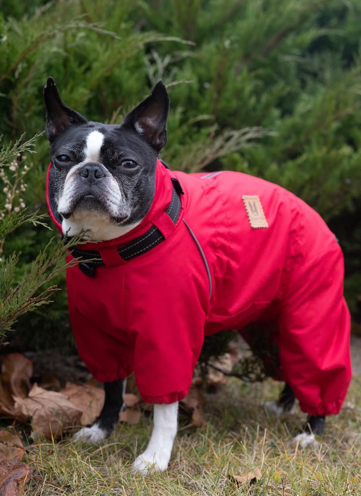 Комбинезон утепленный с ошейником Sonita красный
