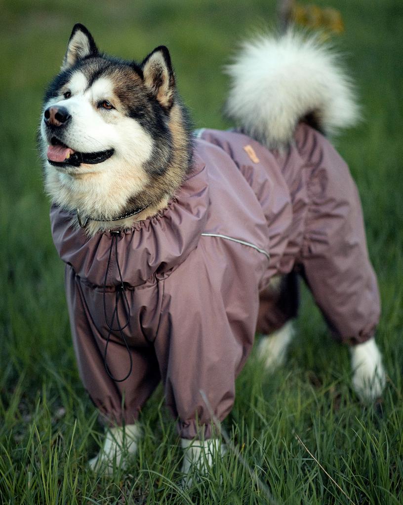 Комбинезон с тонким подкладом Sonita капучино