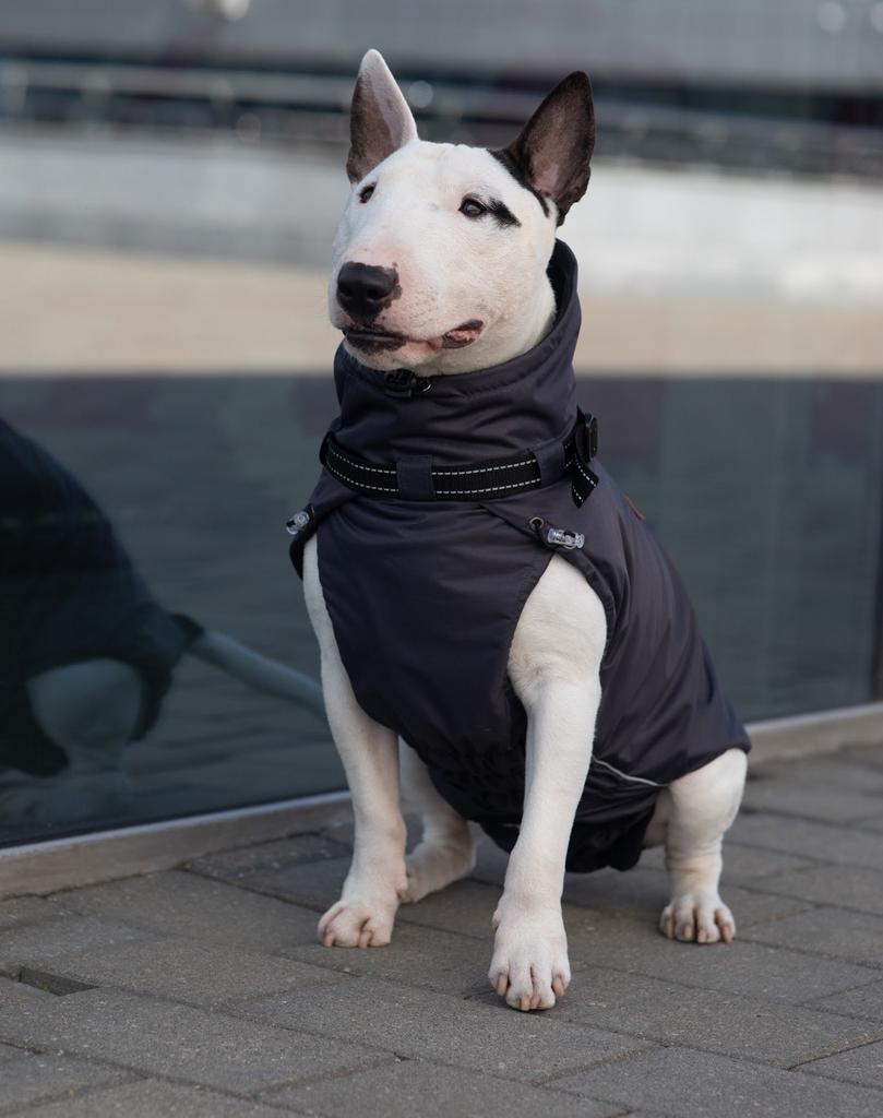 Закрытый жилет (мембрана/флис) Sonita графит