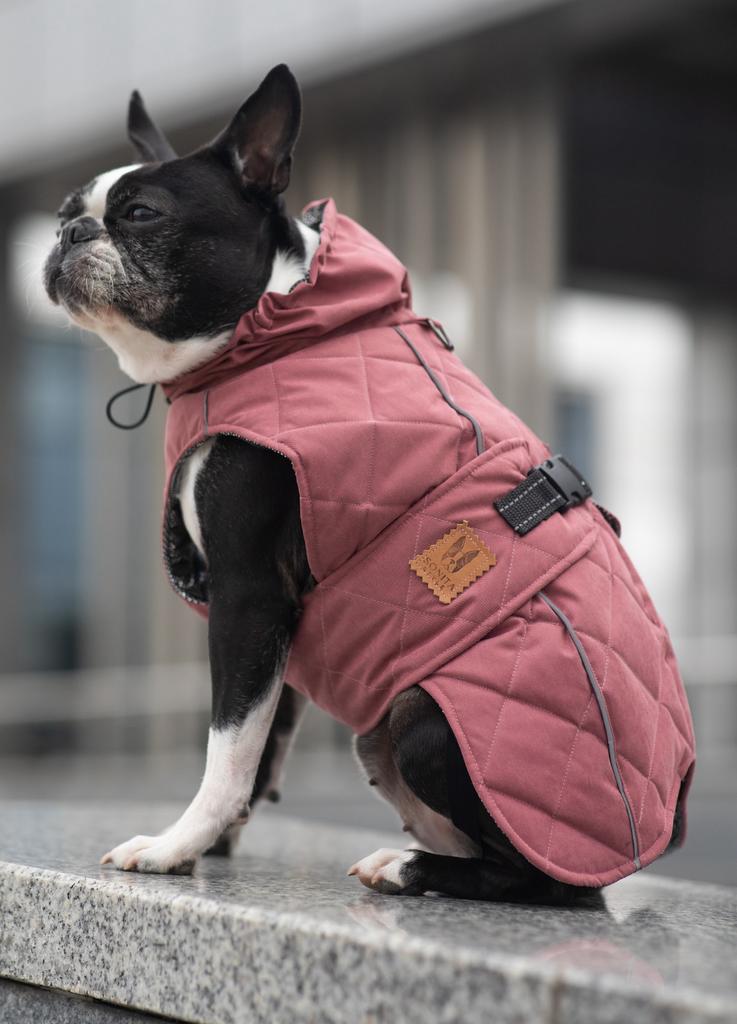 Попона утепленная Sonita (цвет в описании)