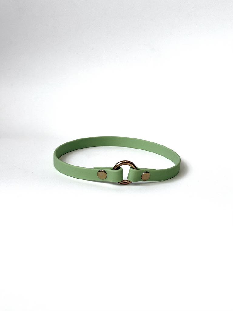 Шнурок для адресника из биотана салатовый