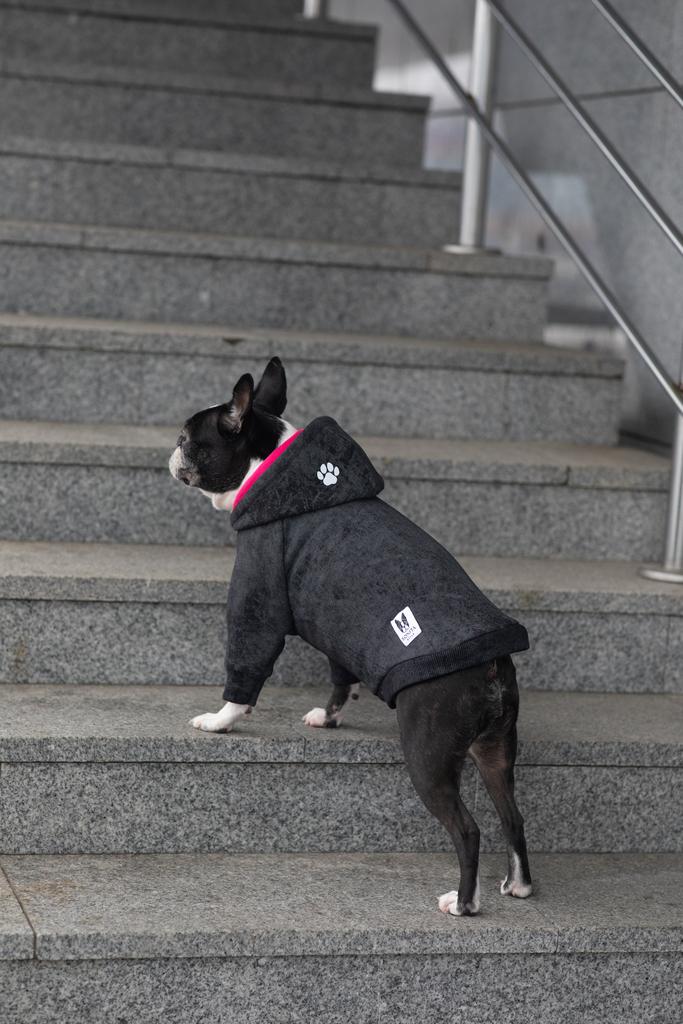 Худи Sonita графит