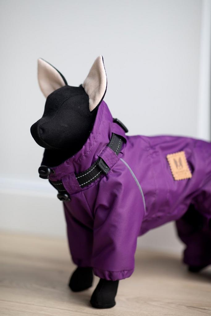 Комбинезон с тонким подкладом (с ошейником) Sonita  фиолетовый