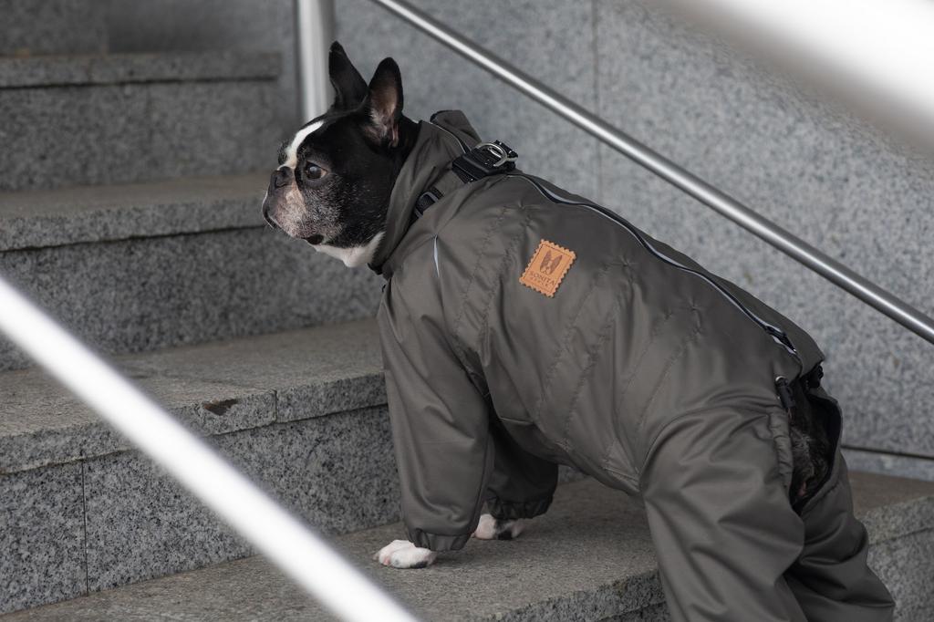 Комбинезон с тонким подкладом (с ошейником) Sonita хаки