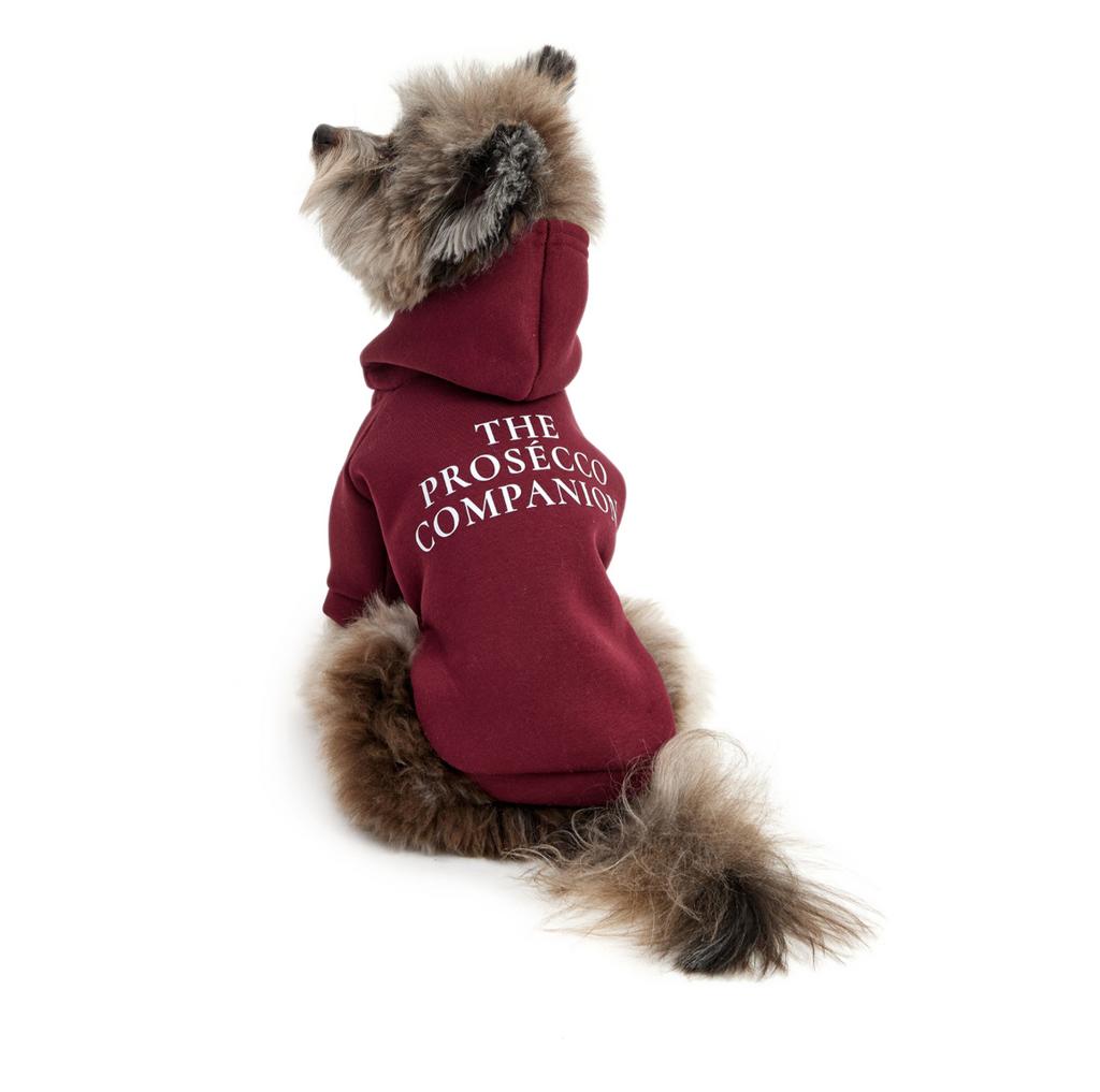 Толстовка Companion