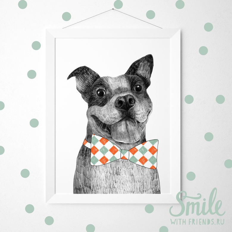 Постер "Бульдог"