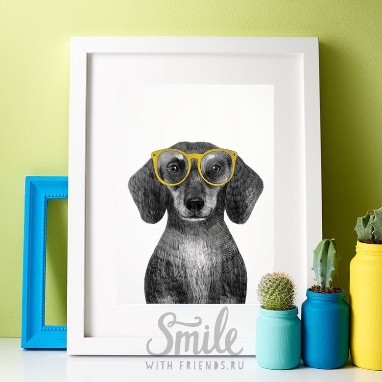 Постер "Такса в очках"