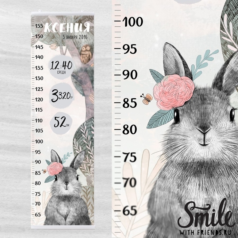 Ростомер-метрика с зайчиком