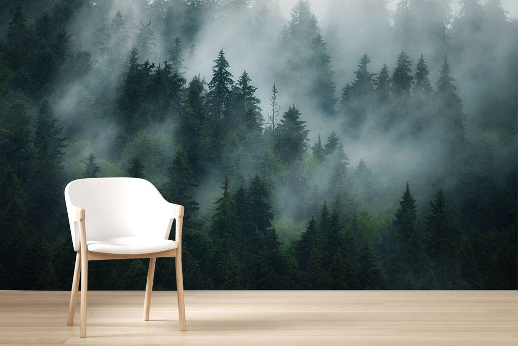 Обои "Норвежский лес"