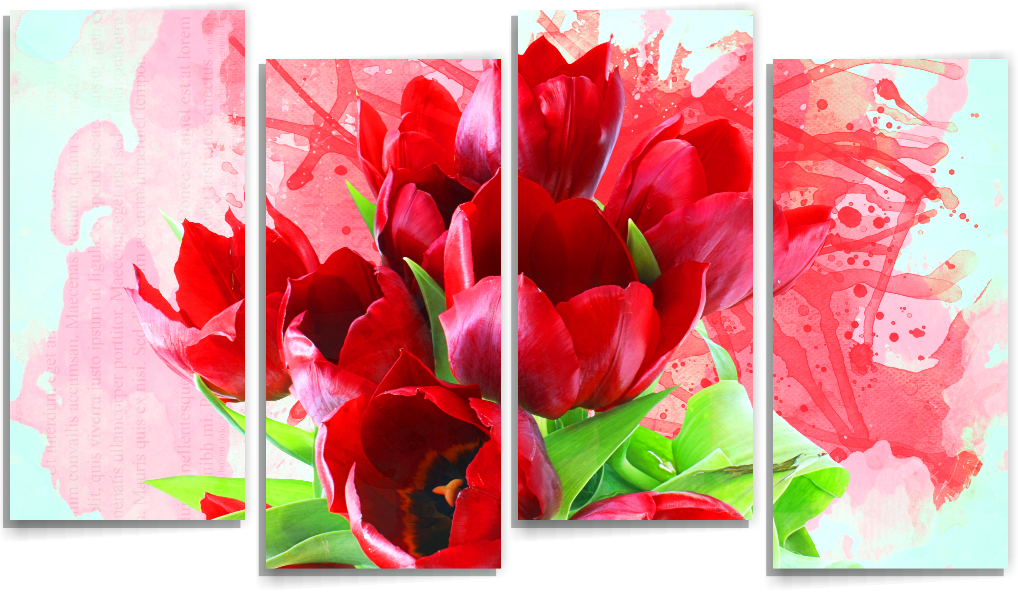 Тюльпаны М76