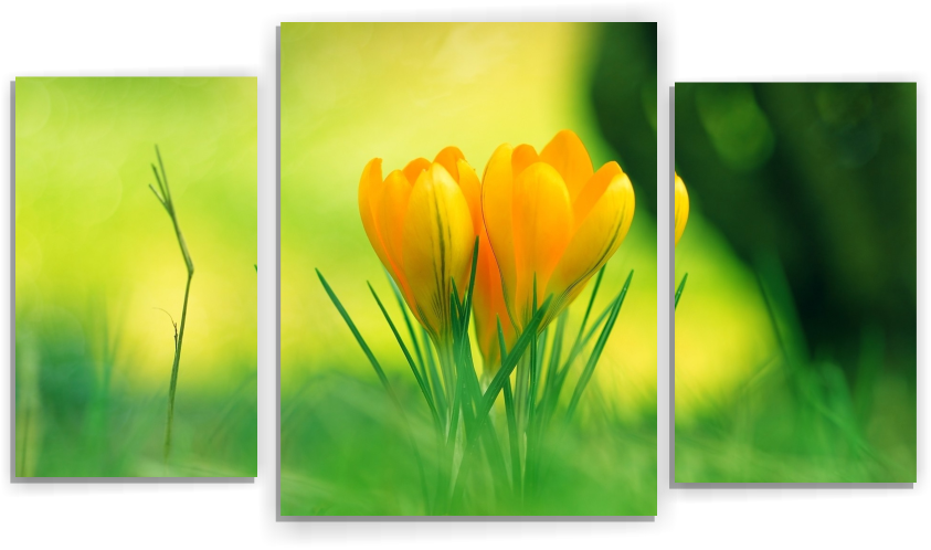 Цветы желтые М164