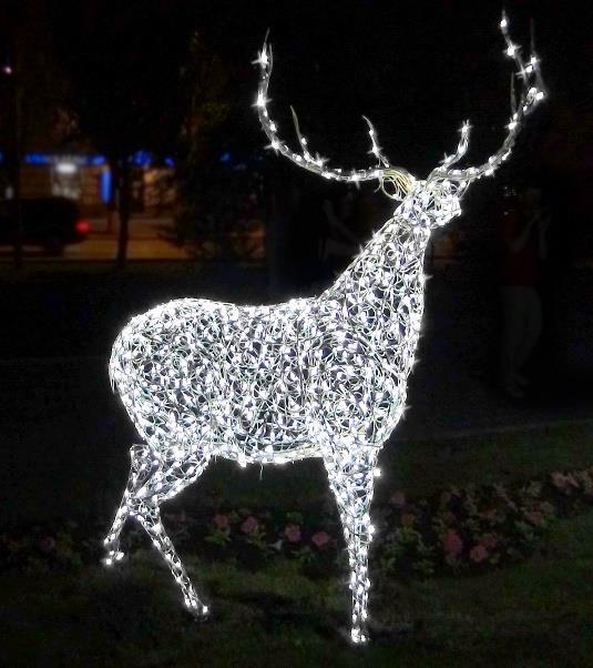 Олень Элитный