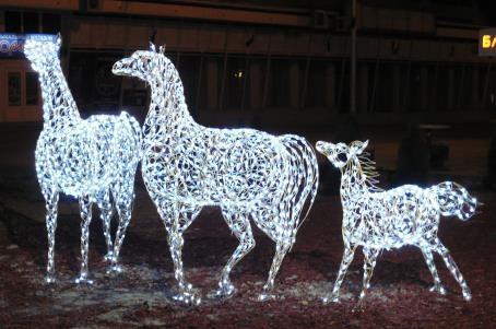 Семья лошадей