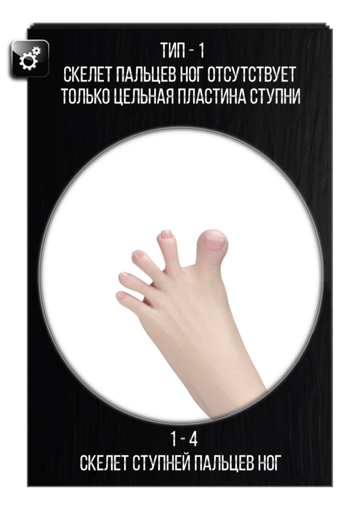 Выбор типов скелета ступни и пальцев ног