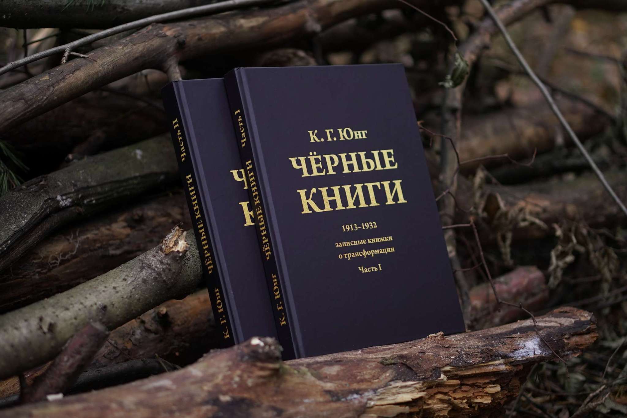 Чёрные Книги  (Чёрные Тетради) (2 тт.) | Карл Густав Юнг