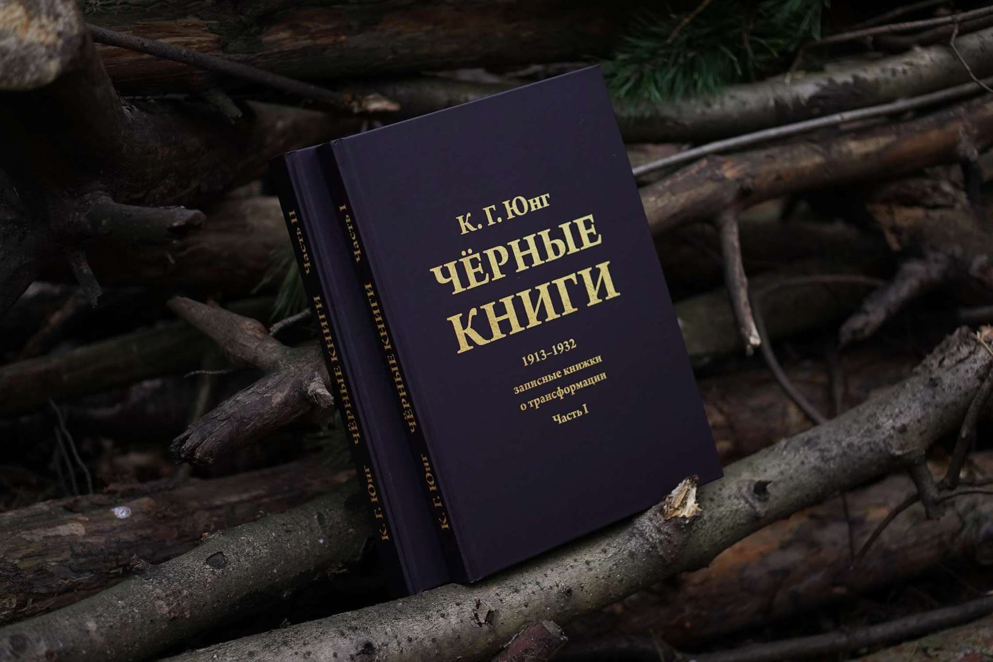 Чёрные Книги  (Чёрные Тетради) (2 тт.) | Карл Густав Юнг