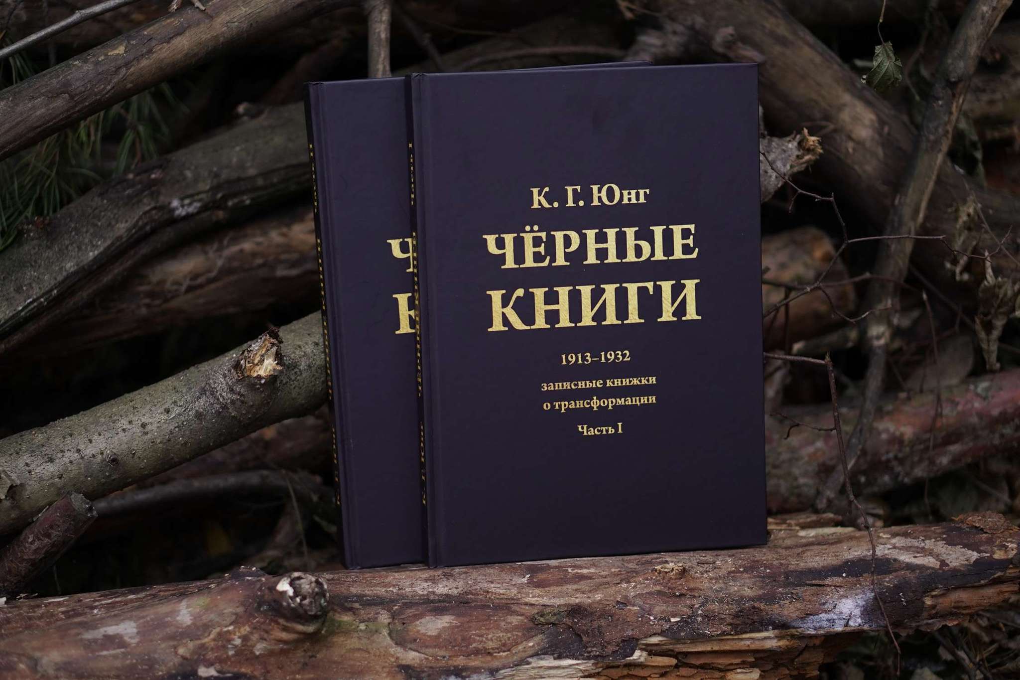 Чёрные Книги  (Чёрные Тетради) (2 тт.) | Карл Густав Юнг