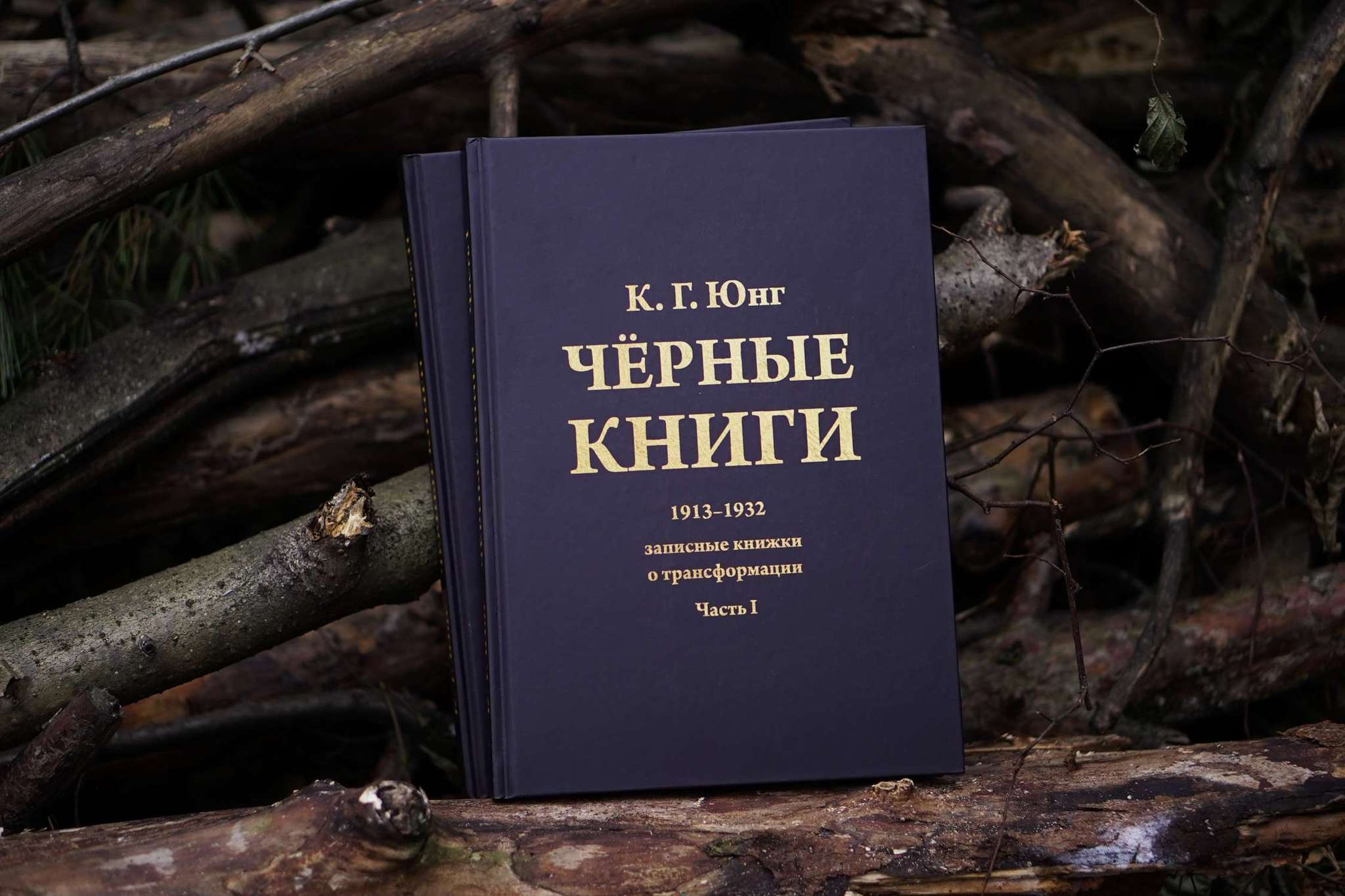 Чёрные Книги  (Чёрные Тетради) (2 тт.) | Карл Густав Юнг
