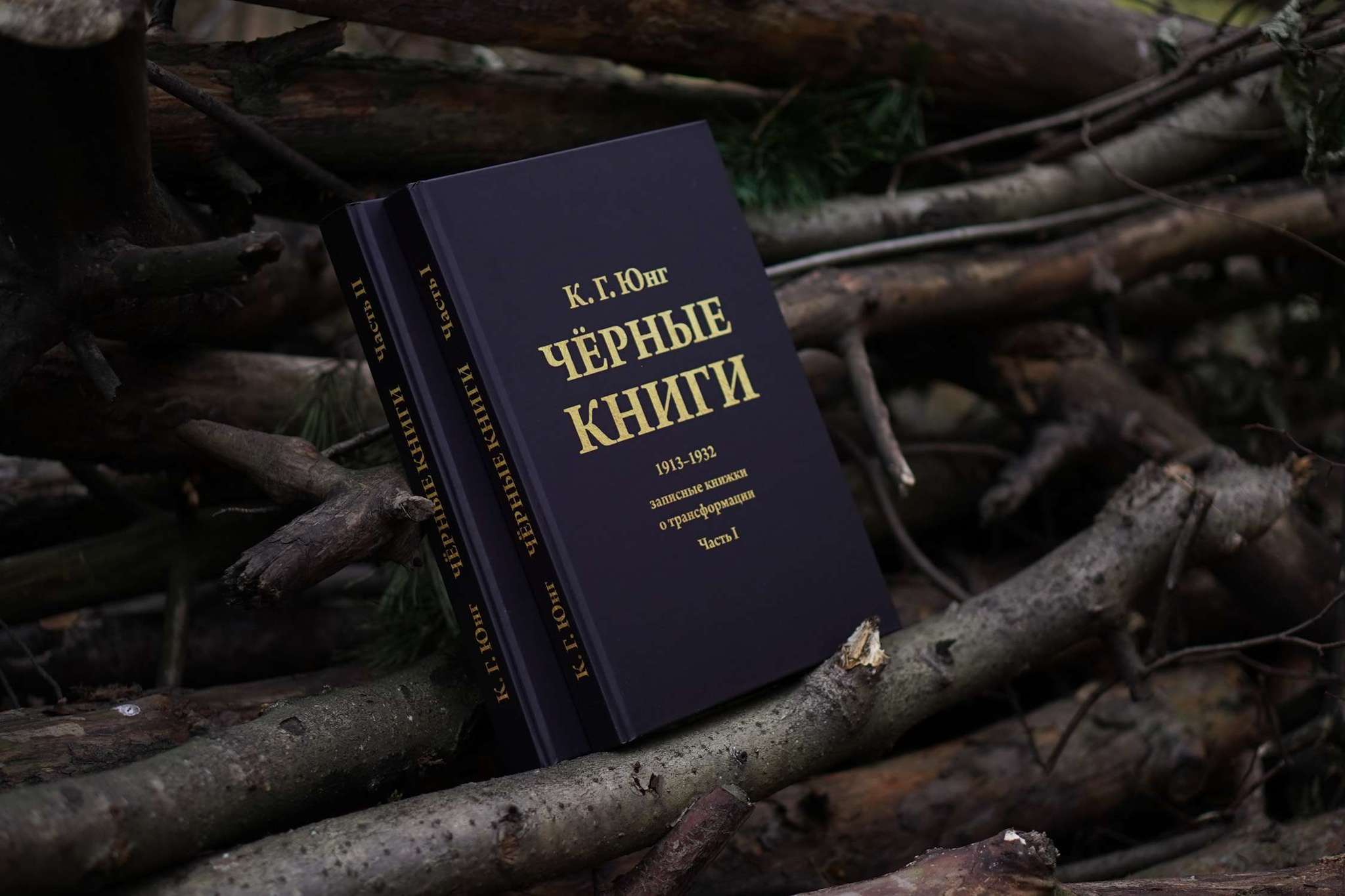Чёрные Книги  (Чёрные Тетради) (2 тт.) | Карл Густав Юнг