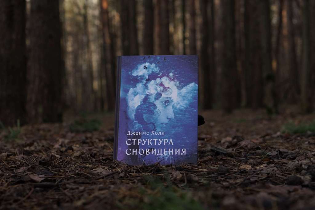 Структура Сновидения | Джеймс Холл