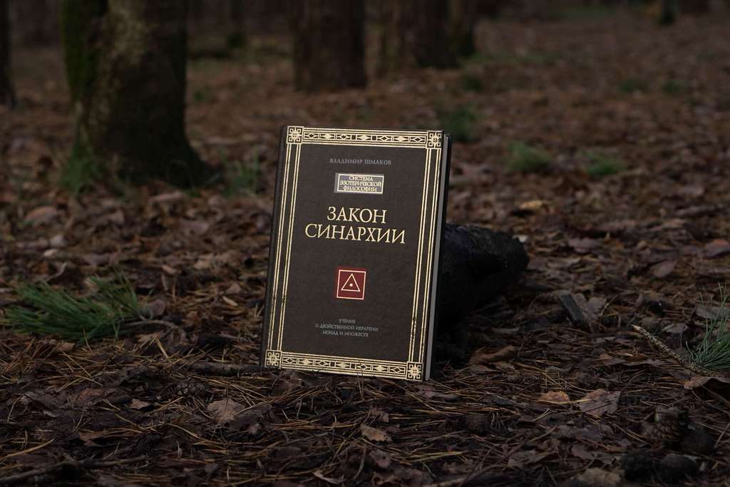Закон синархии | Владимир Шмаков
