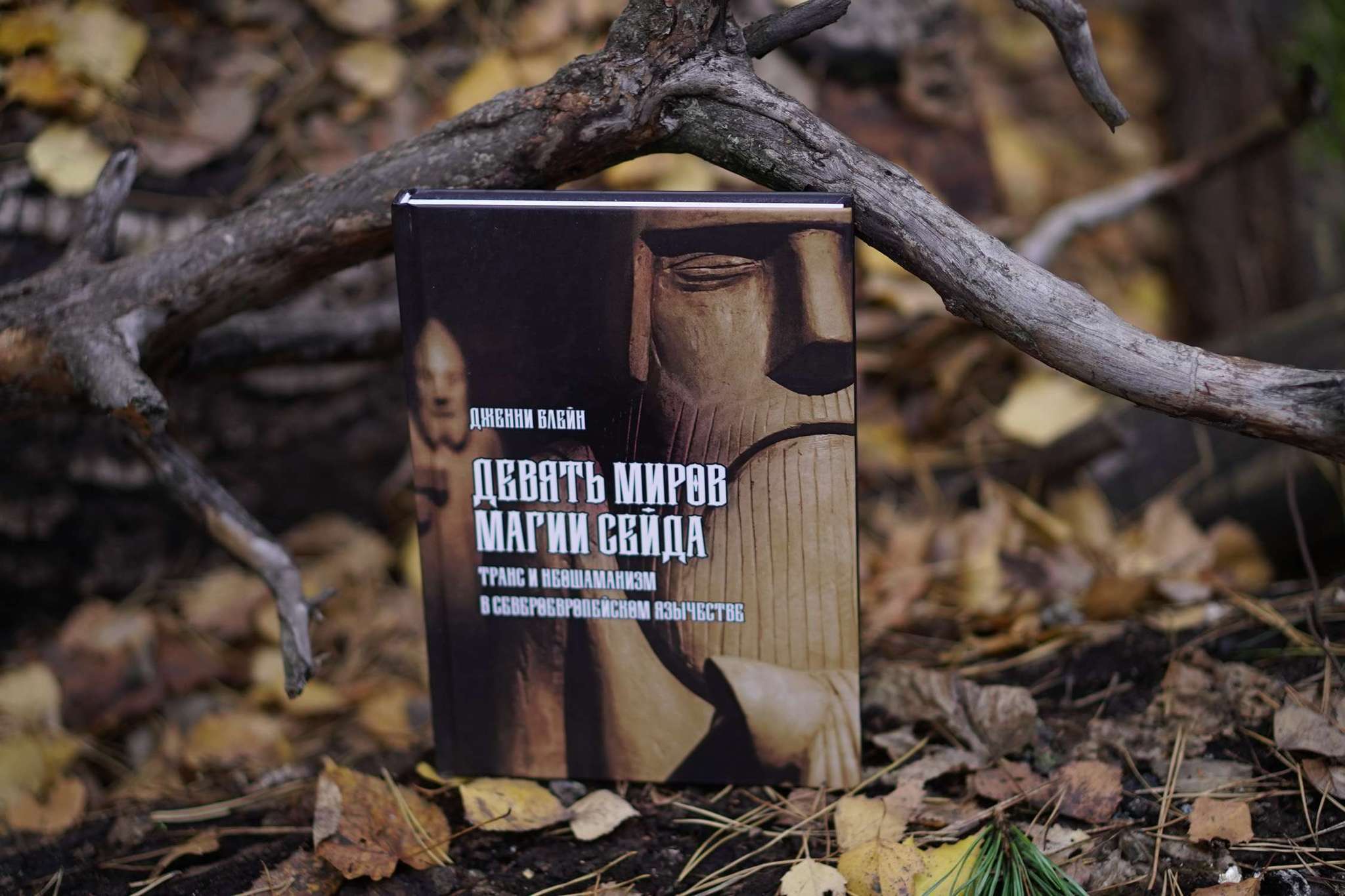 Девять Миров магии сейда. Транс и неошаманизм в североевропейском язычестве | Дженни Блейн