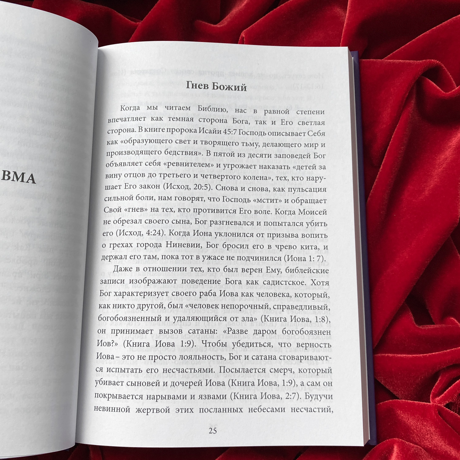 Бог есть травма. Заместительная религия и создание души | Грег Могенсон