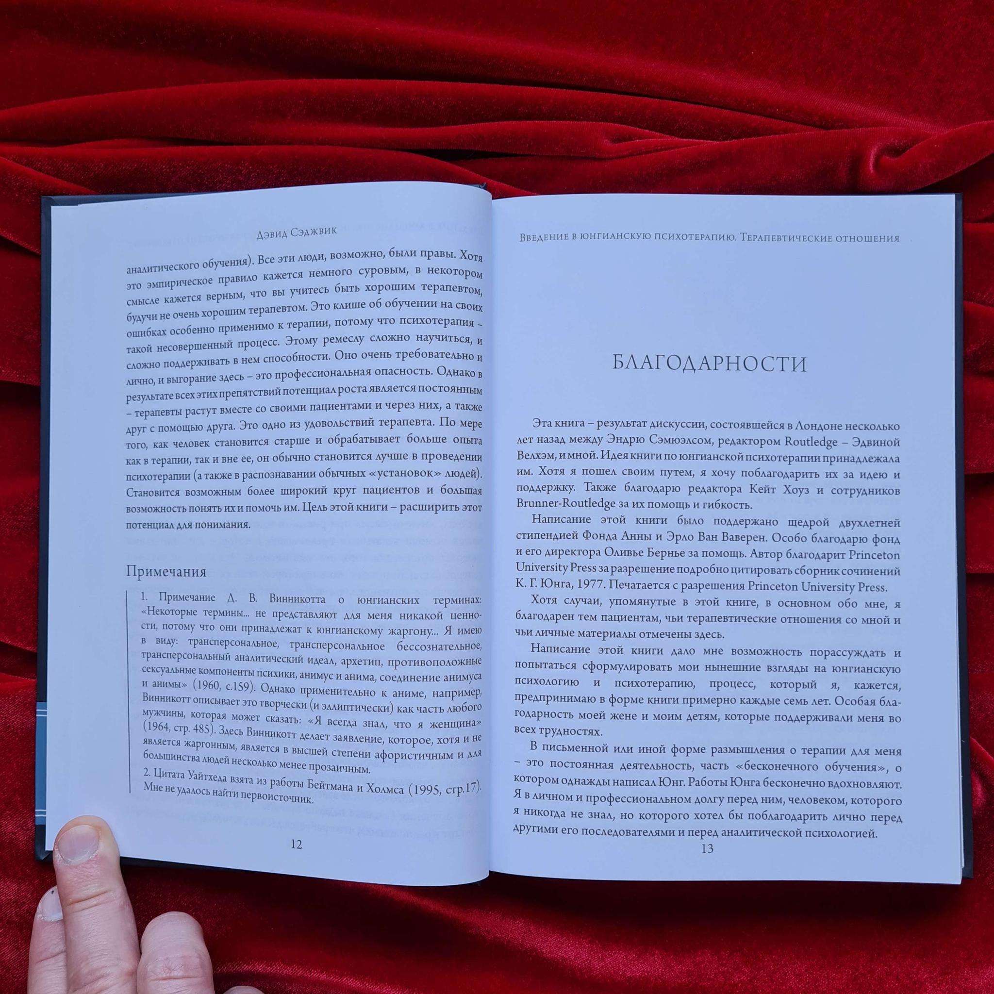 Введение в юнгианскую психотерапию. Терапевтические отношения | Дэвид Сэджвик
