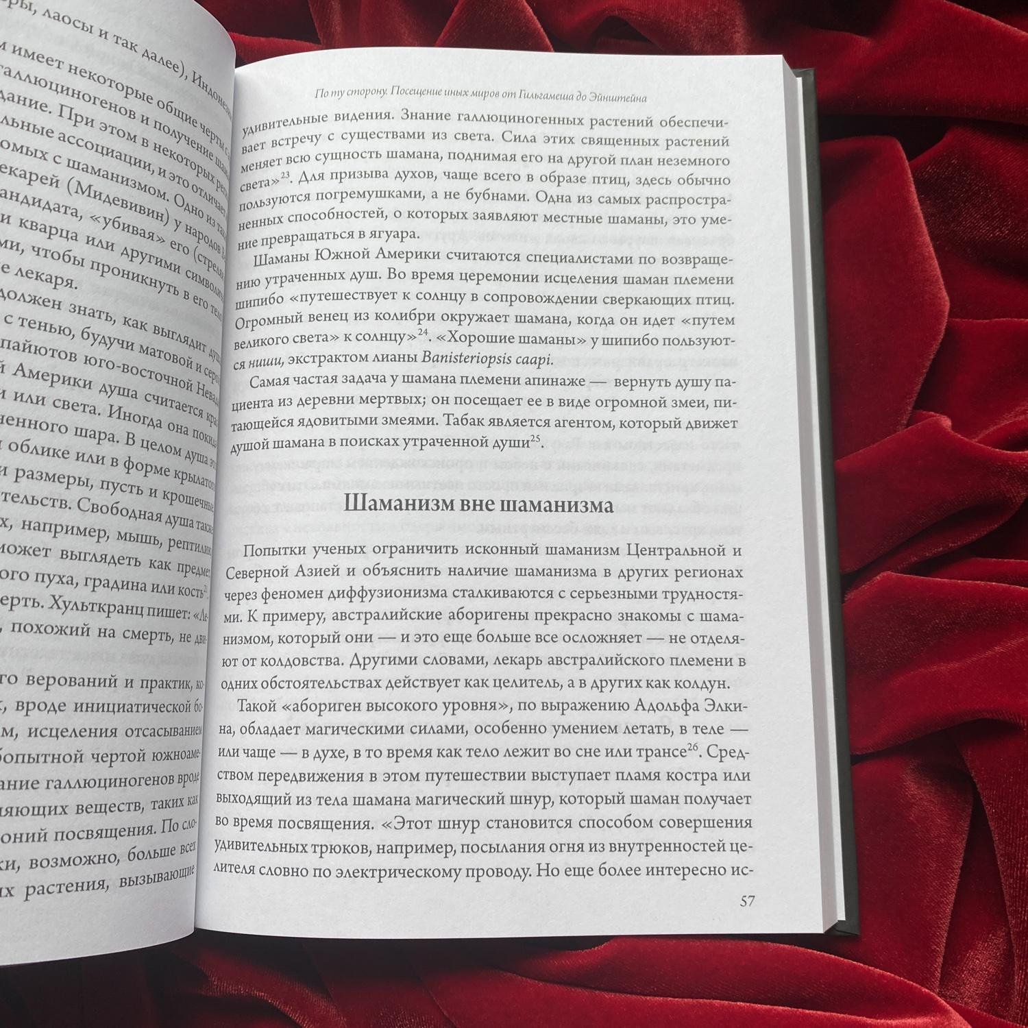 По ту сторону. Посещение иных миров от Гильгамеша до Эйнштейна | Йоан Кулиану