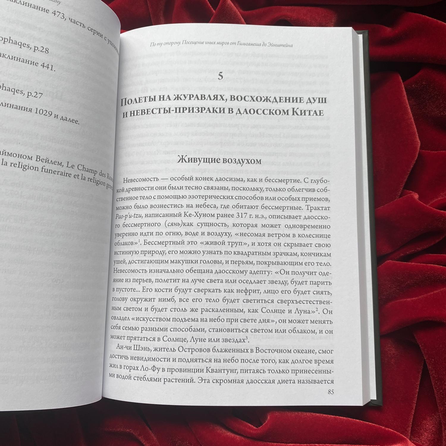 По ту сторону. Посещение иных миров от Гильгамеша до Эйнштейна | Йоан Кулиану