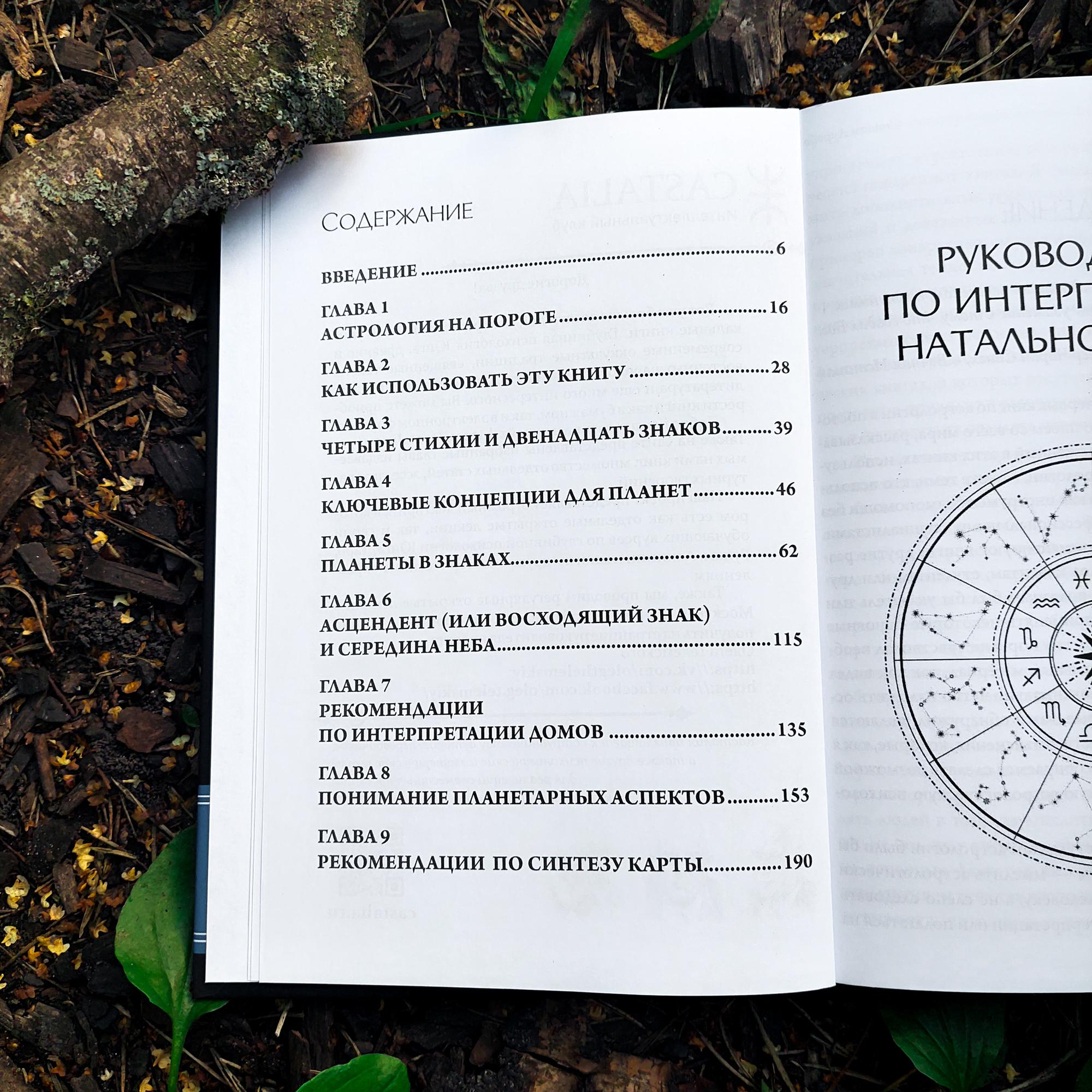 Руководство по интерпретации натальной карты | Стивен Арройо