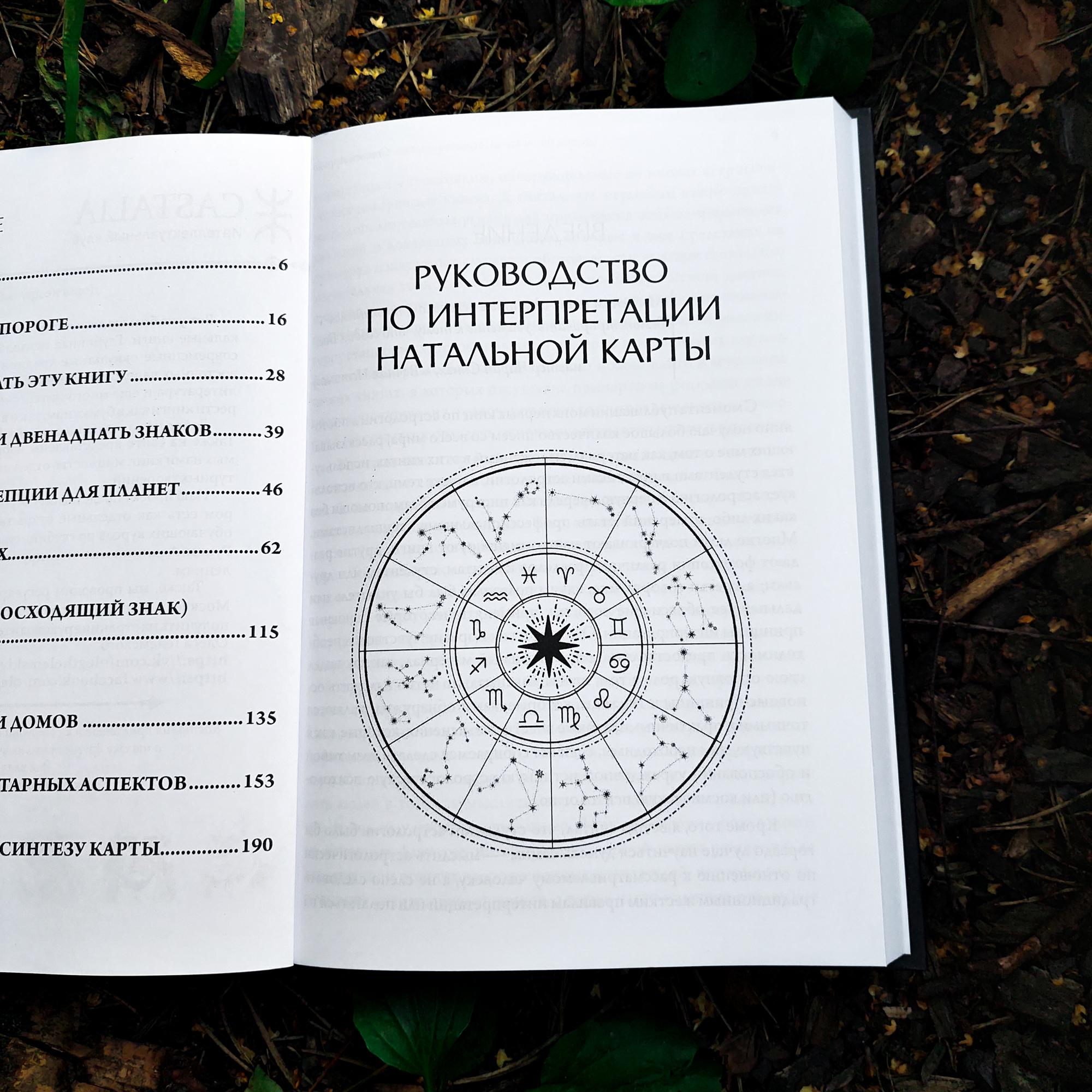 Руководство по интерпретации натальной карты | Стивен Арройо