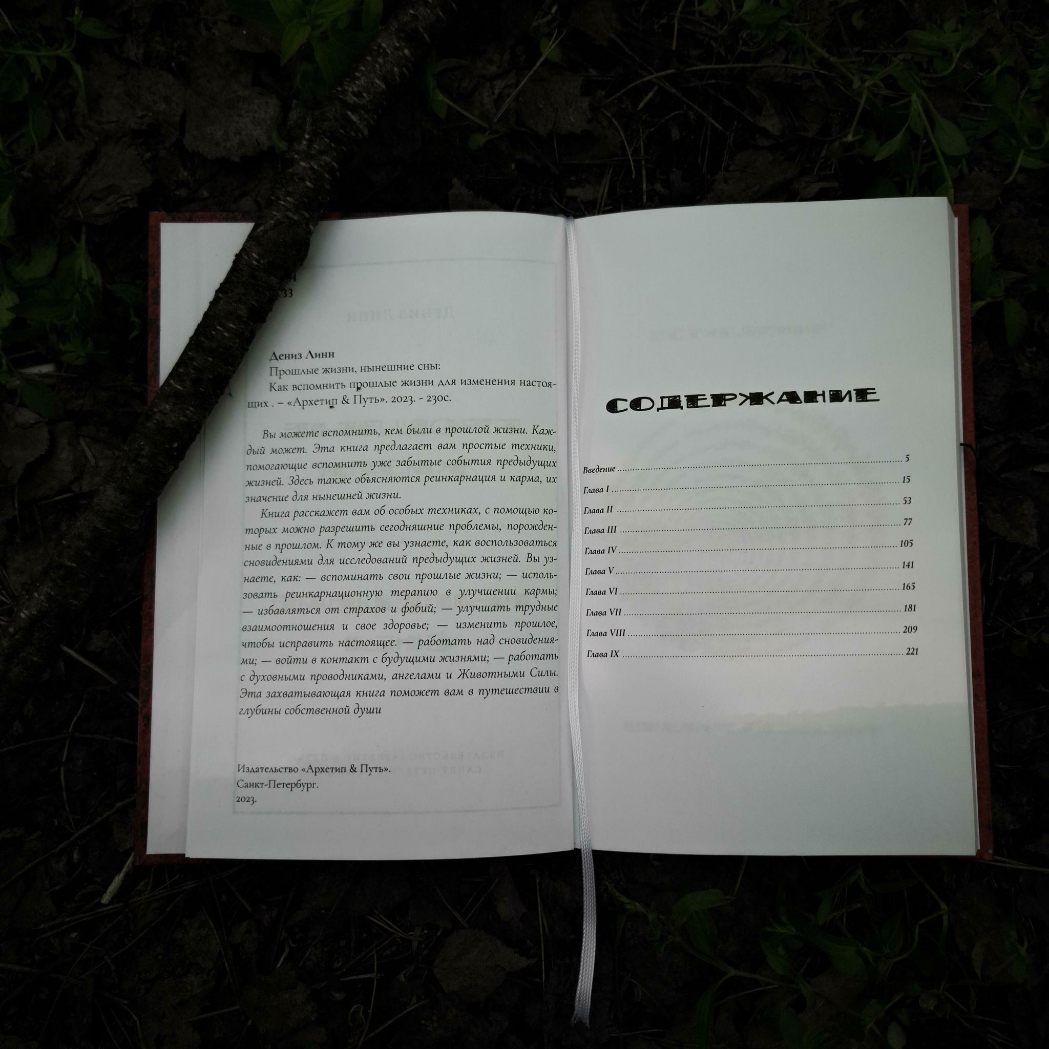 Прошлые жизни, нынешние сны: Как вспомнить прошлые жизни для изменения настоящих | Дениз Линн