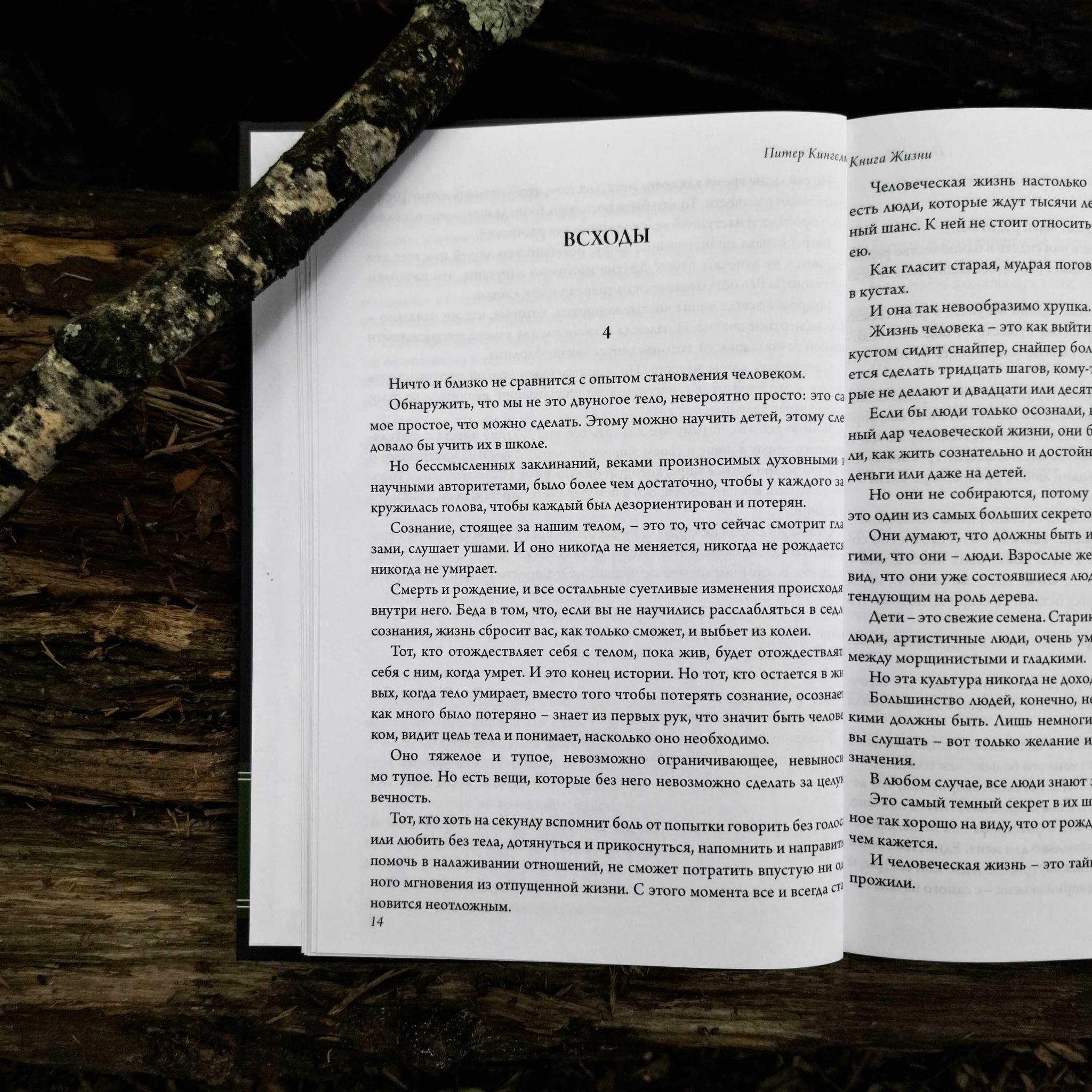 Книга жизни | Питер Кингсли